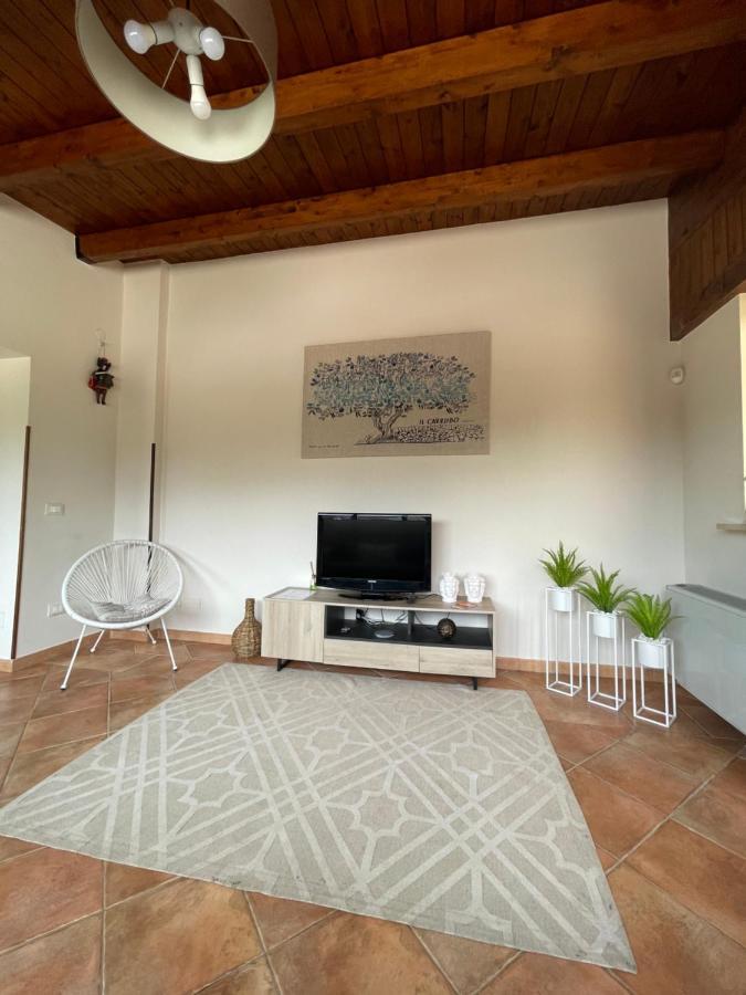 Il Moro - Casa Vacanze Terrasini Eksteriør billede